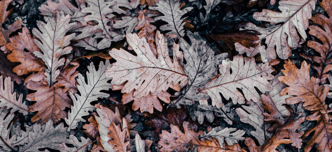 Look forward to Fall 2020 with our new collection