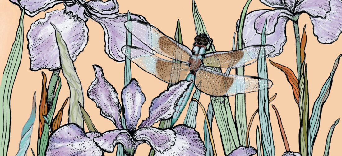 Inspiring Creative Women Series - Fay's Studio