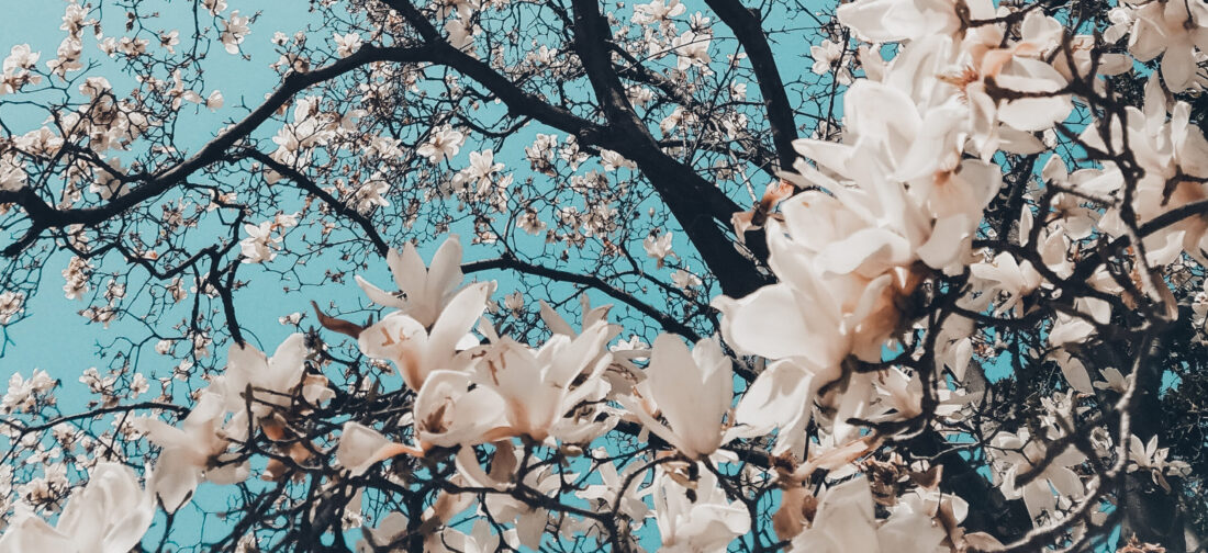 Transition towards Spring with ease