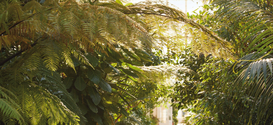 Buyers’ favourites from our Summer 2022 Collection