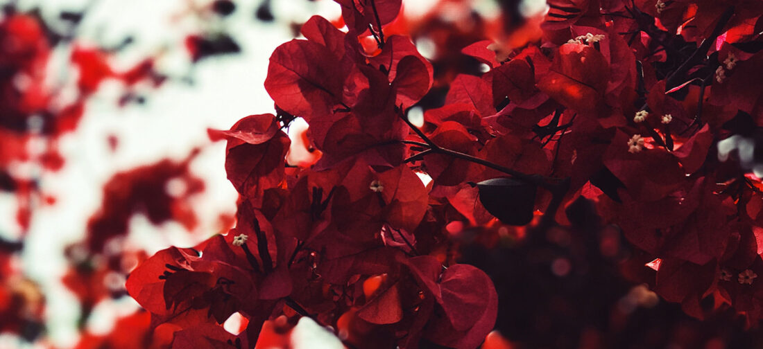 It’s all in the details with our vibrant waterproof coat
